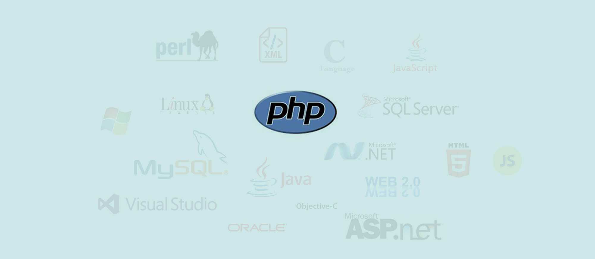 SunNet Solutions is proficient in multiple computer programming languages such as php.
